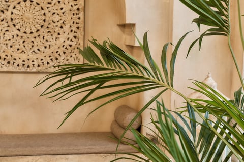 Boho garden spa interior with tropical decor